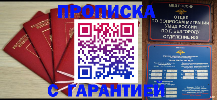 миграционный учет в Ленинградской области